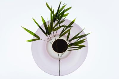 Transparences éphémères - Bambous 1.jpg